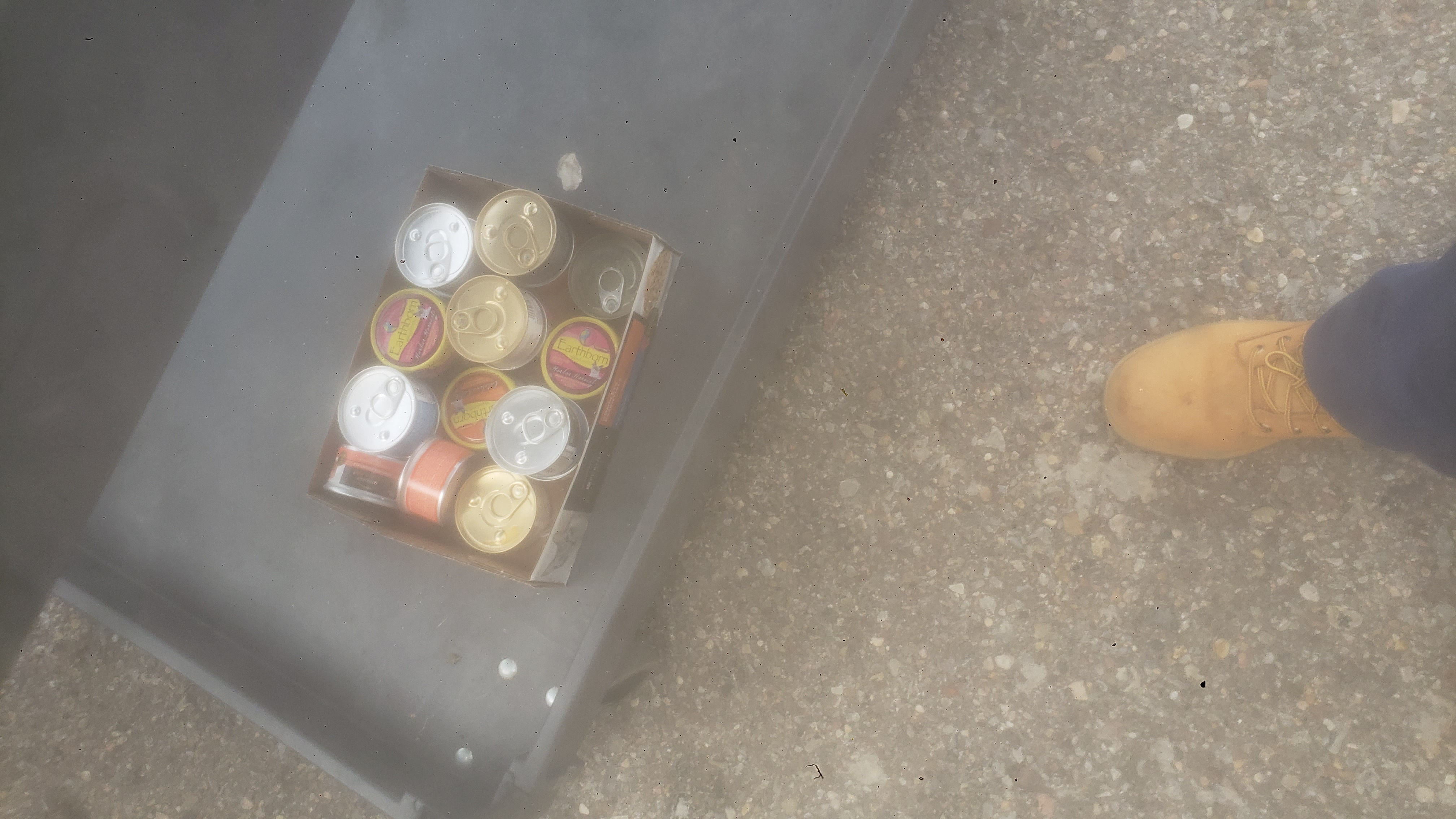 Box of two or more brands of cat foods that I bought and gave out.